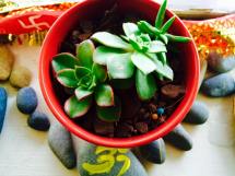 11949544_131683310513848_8908722128808612766_n