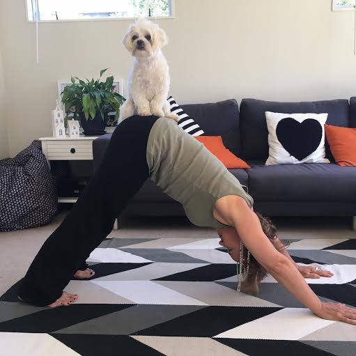 6715_1572746206380133_8585298685636362042_n