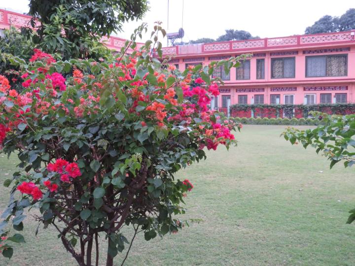 25311325_1975270312794385_422884871150313677_o