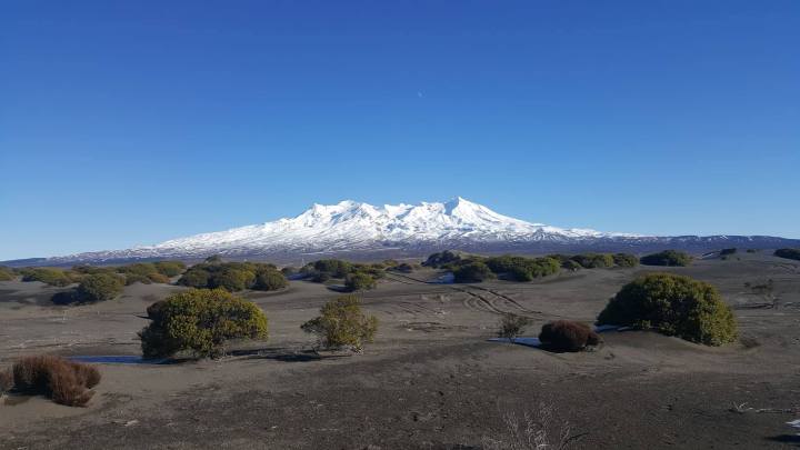 36571967_2118425708482740_357708679119634432_n